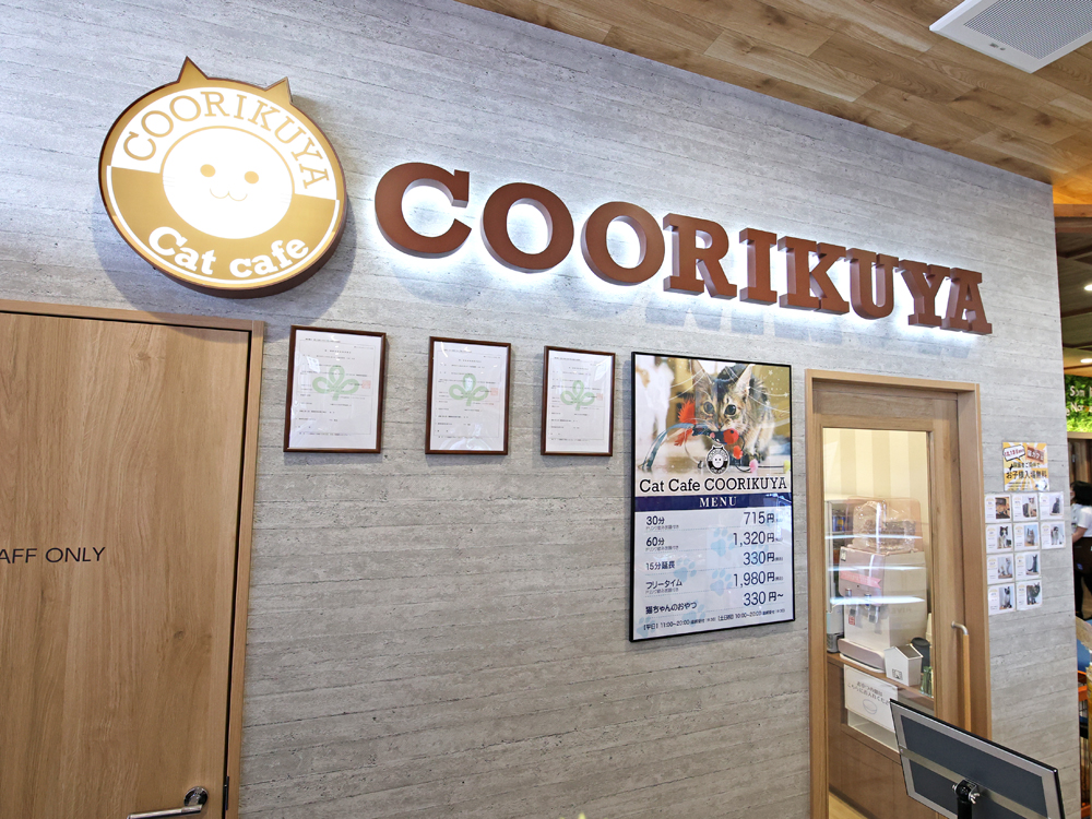 Coo Riku 大崎市古川に初 猫カフェがオープンしていたぞ いいとめインフォ